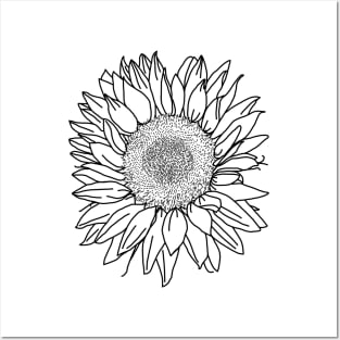 Sunflower Black Line Drawing Posters and Art